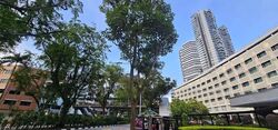 The Plaza (D7), Office #572112911